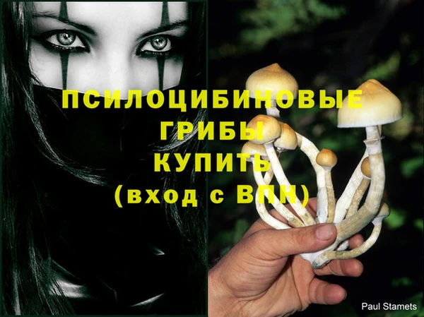 сатива Покров