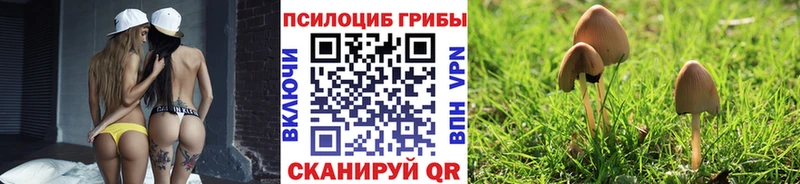 Галлюциногенные грибы GOLDEN TEACHER  блэк спрут   Иноземцево 